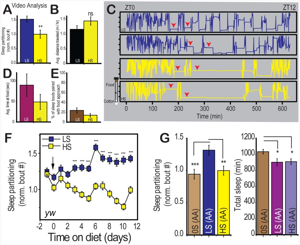Characterization of diet-induced changes to sleep architecture.