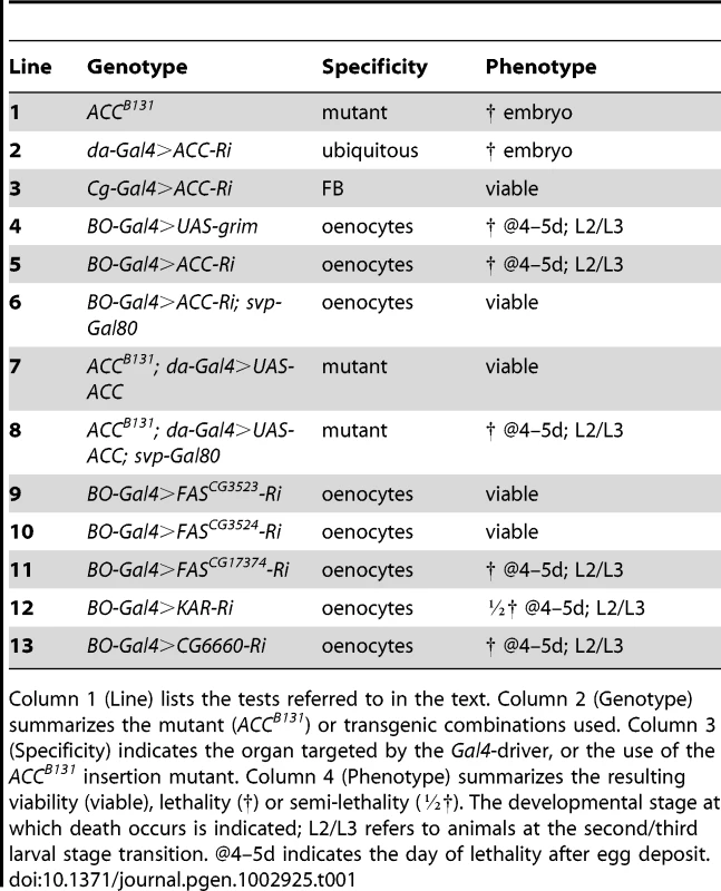 Genetic analysis of <i>ACC</i> by tissue-targeted knockdown.
