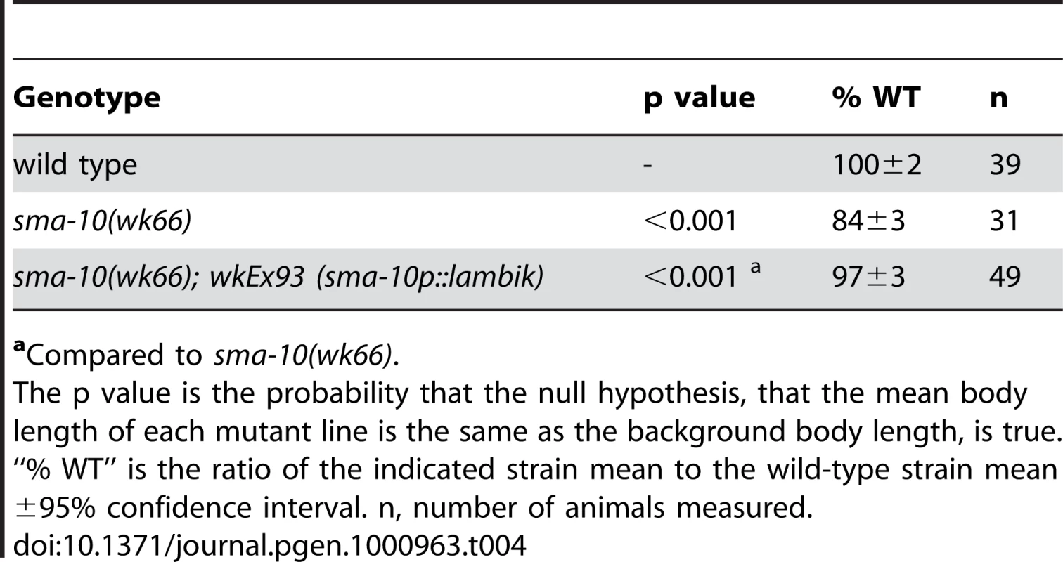 <i>Drosophila lambik</i> rescues the body size defect of <i>sma-10(lf)</i> animals.