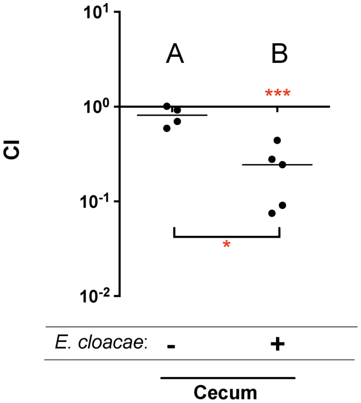Competitive index (CI) measurements of a <i>sirA</i> mutant in mouse models.