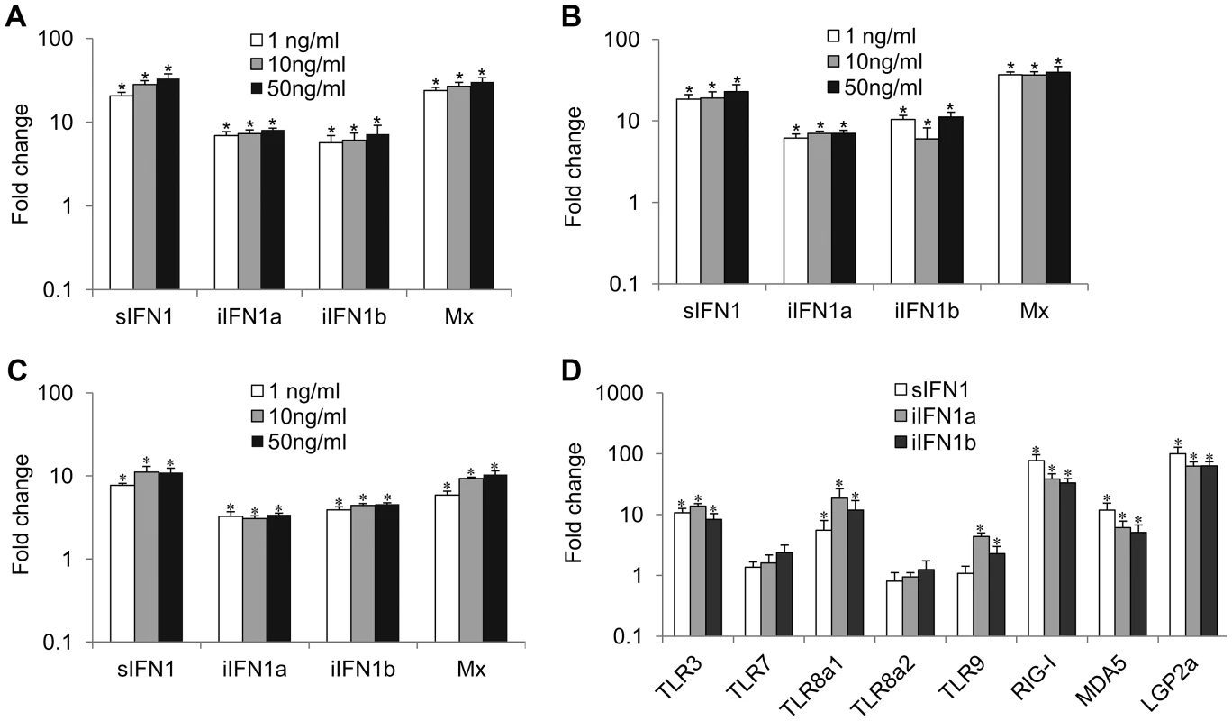 Modulation of expression of antiviral genes and pattern recognition receptors (PRRs) by rIFN1 variants.