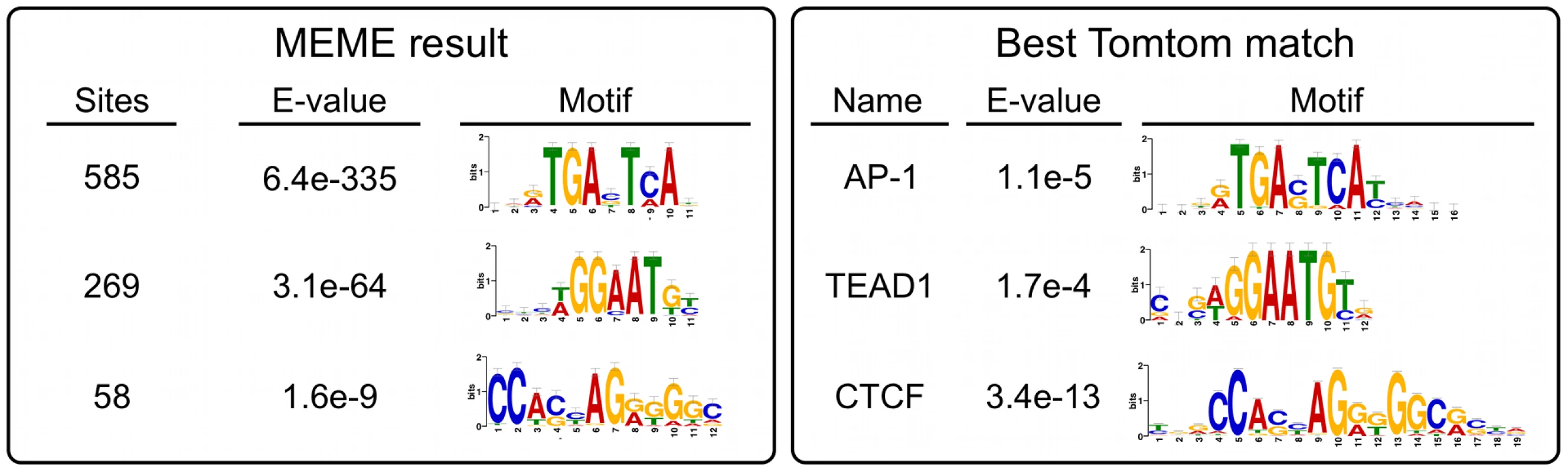 Non-MER85 peaks are enriched for TRE, TEAD1, and CTCF binding site motifs.