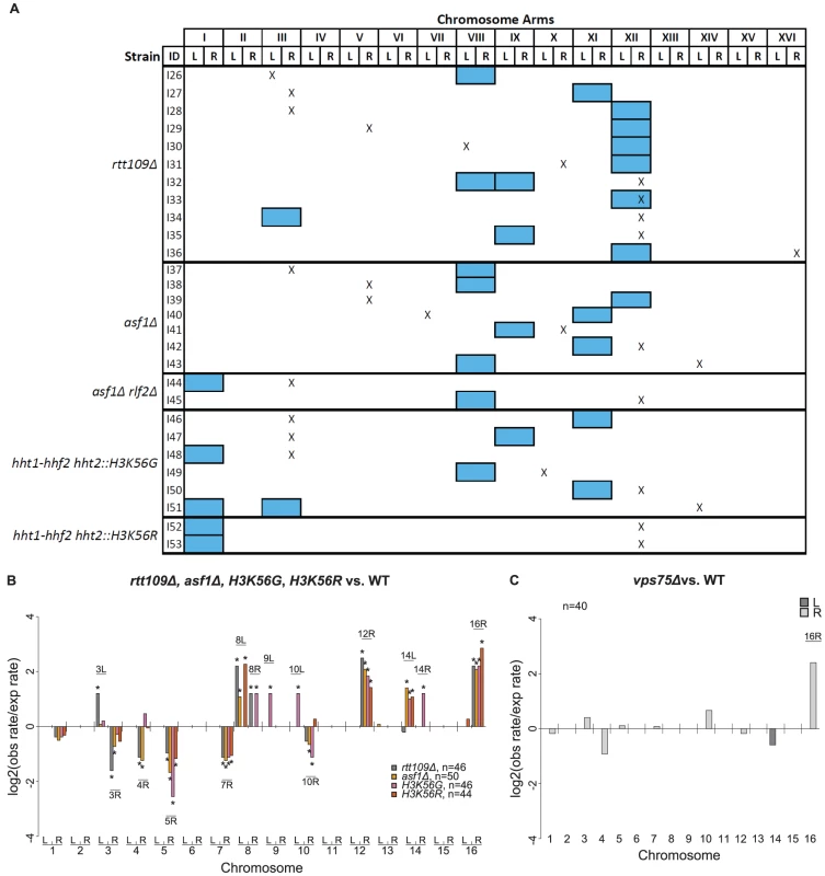 Analysis of GCRs isolated in <i>rtt109Δ</i> and related mutants.