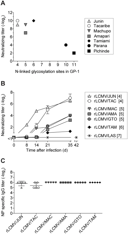 nAb response kinetics against Clade B arenavirus envelopes correlate with GP-1 glycan density.