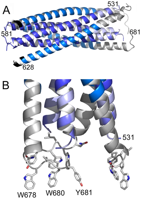 Crystal structure of gp41<sub>528–683</sub> reveals a 90 Å long rod-like structure.