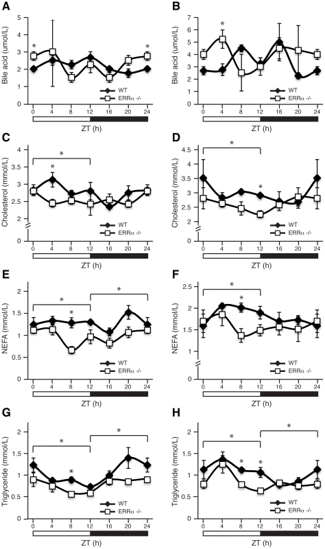 Diurnal variation of serum bile acid, cholesterol, NEFA, and triglyceride levels in WT and ERRα-null mice.