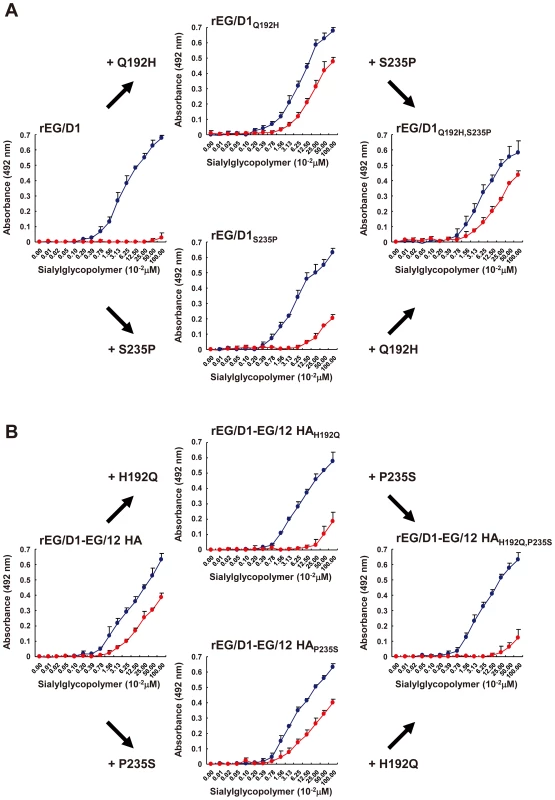 Effect of HA mutations in sublineage A viruses on receptor specificity of EG/D1 virus HA.