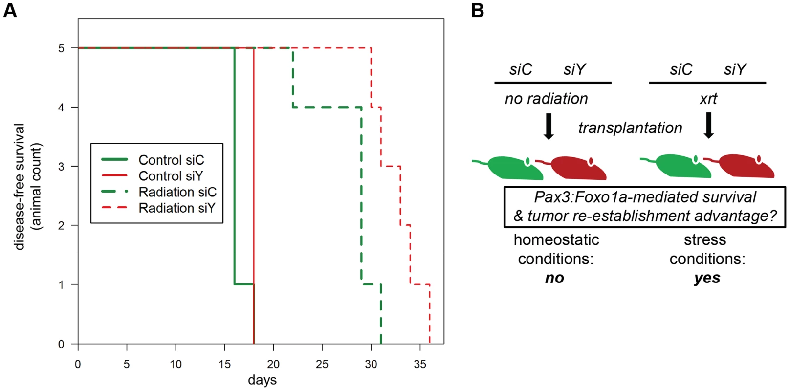 Treatment-related implications for dynamic oncogene expression in rhabdomyosarcoma <i>in vivo</i>.