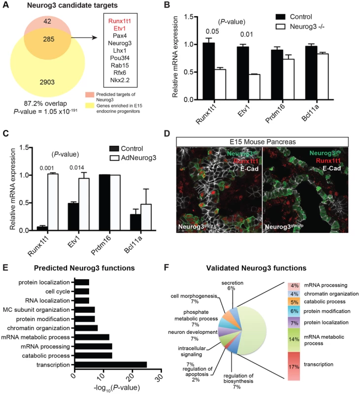 Identifying biological functions and targets of Neurog3.
