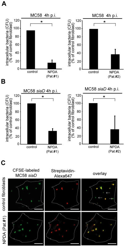 Niemann-Pick disease fibroblasts are significantly less invaded by <i>N. meningitidis</i>.