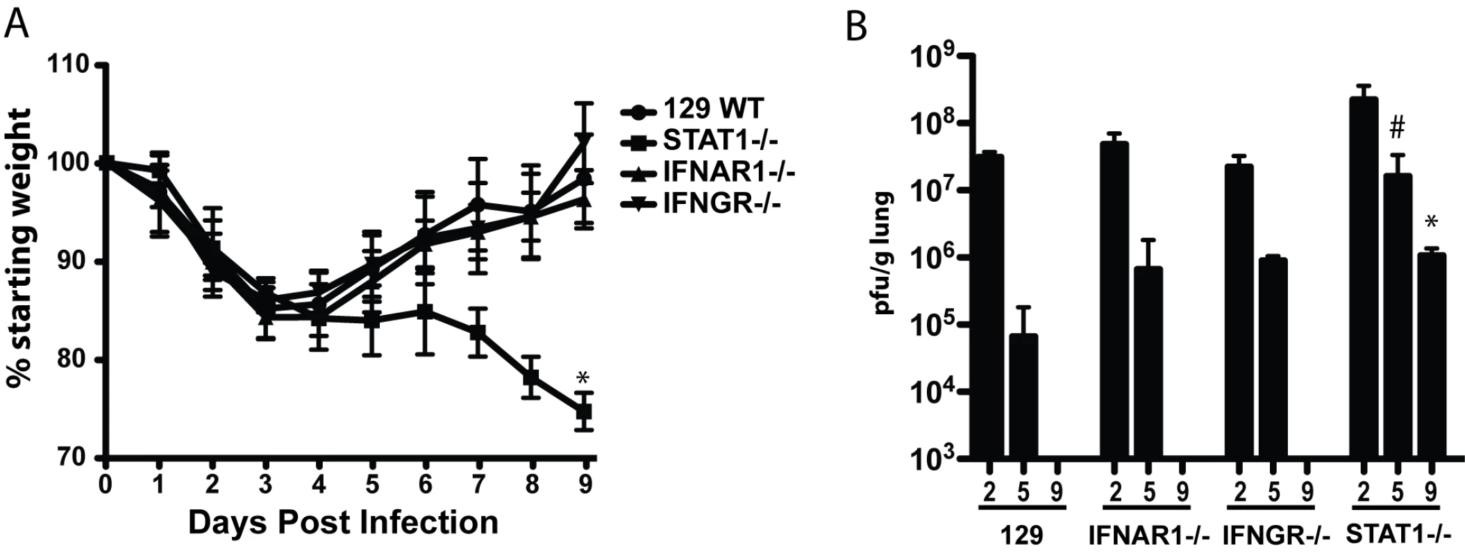 Mouse adapted SARS-CoV (rMA15) infection of 129 WT, IFNAR1−/−, IFNGR−/− and STAT1−/− mice.