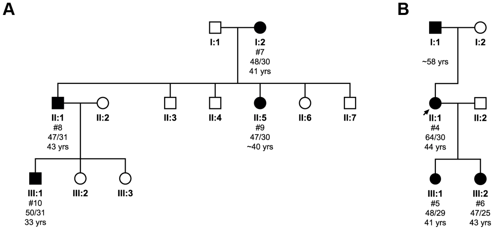Pedigree analysis and the transmission of the pathogenic expanded allele in two families.