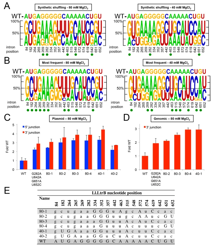Synthetic shuffling of positively selected mutations identifies Ll.LtrB variants with enhanced retrohoming into plasmid and chromosomal target sites in human cells.