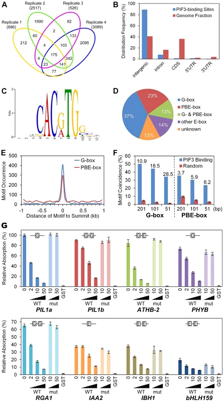 Genome-wide identification of PIF3-binding sites and motifs.