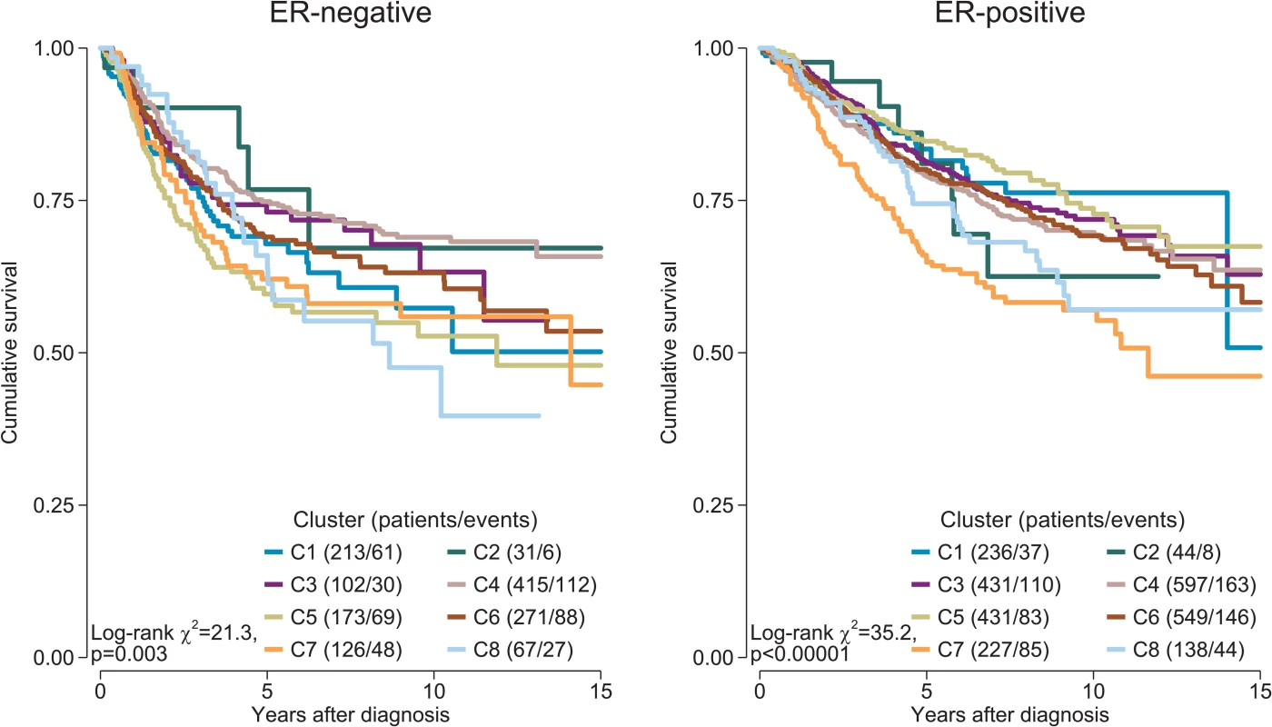 Survival plots by cluster separately for ER-positive and ER-negative disease.