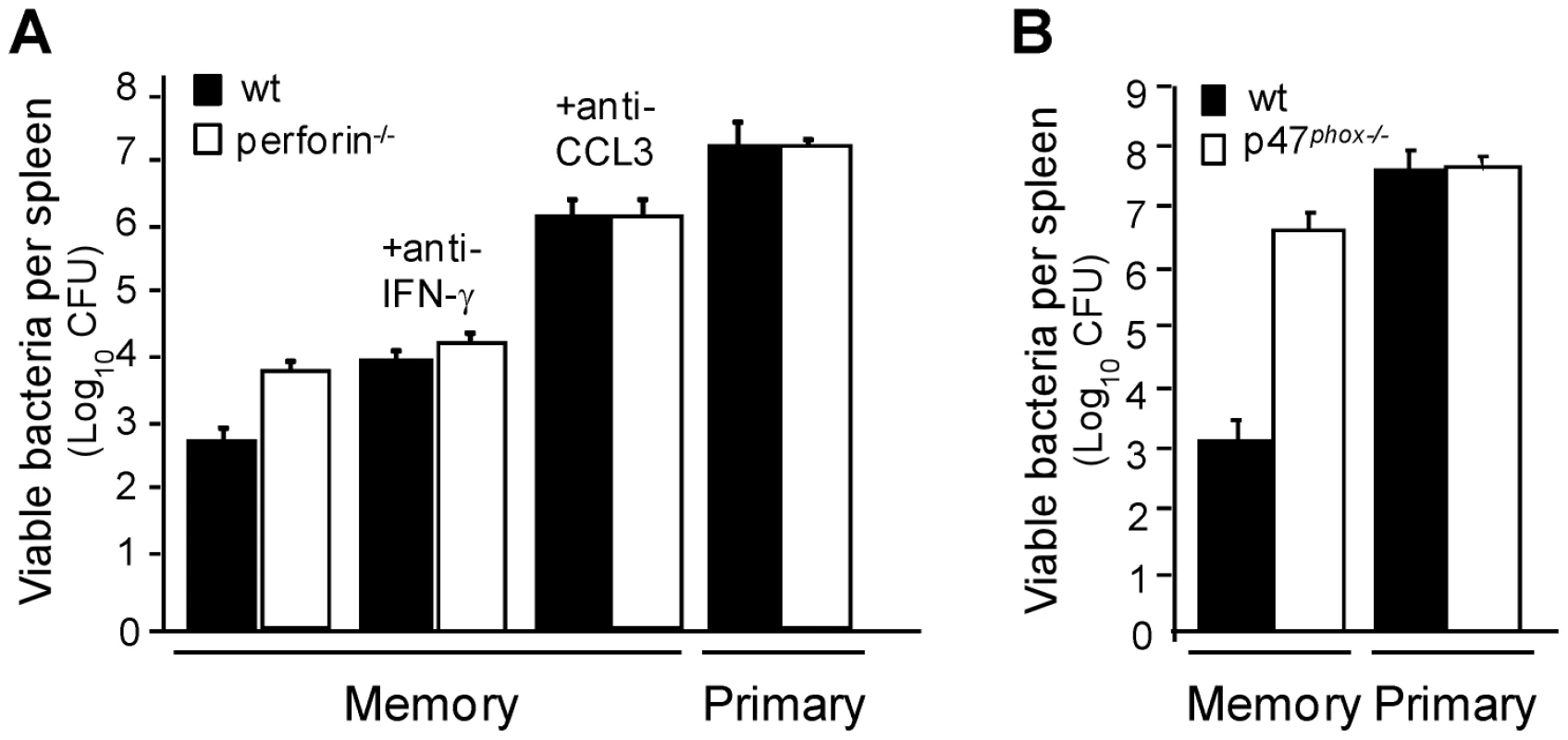 CCL3/ROS<sup>+</sup>-mediated killing of bacteria is a major mechanism of protection in memory mice.