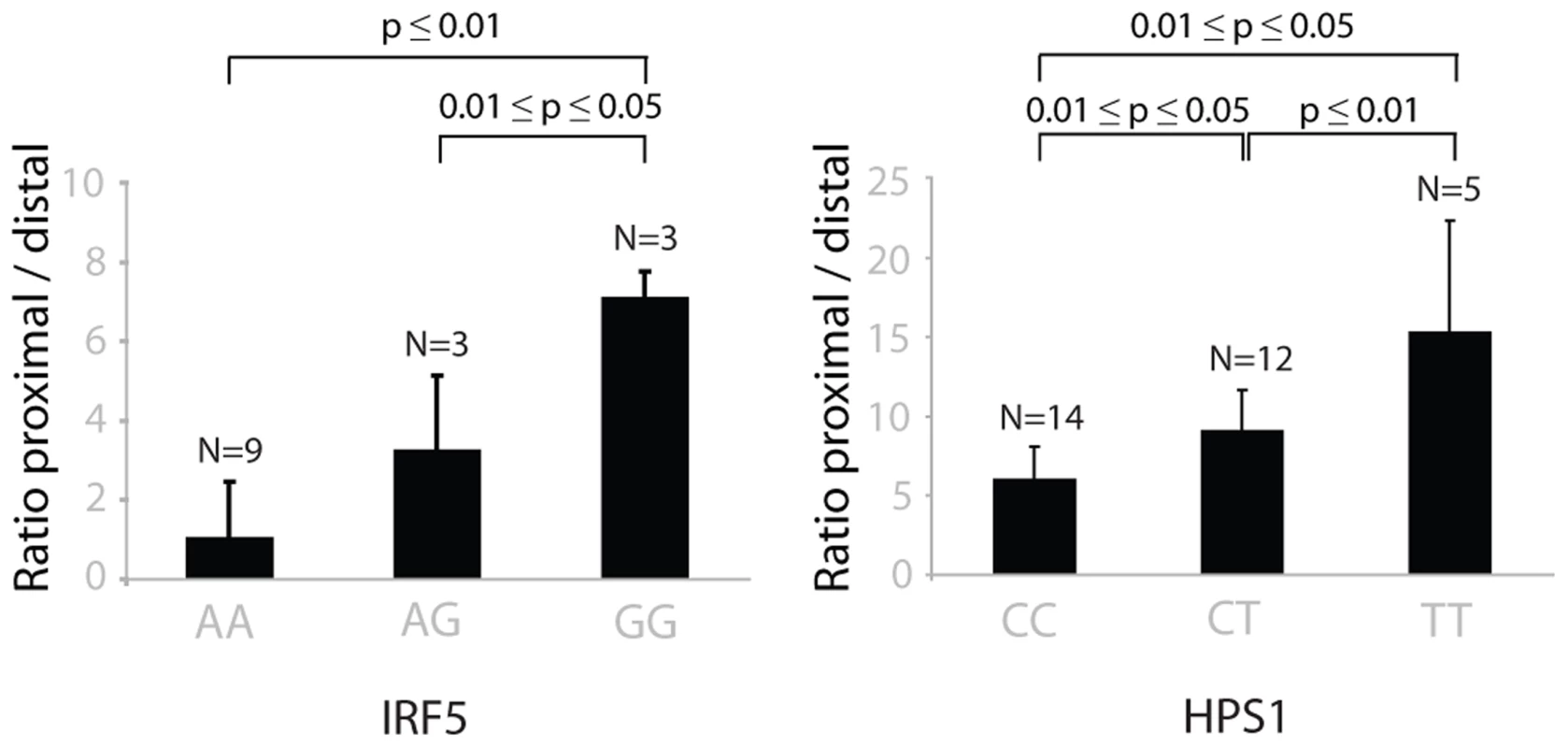 The choice of proximal/distal polyadenylation site in genes <i>IRF5</i> and <i>HPS1</i> depends on the genotypes of rs10488630 and rs11189600, respectively.