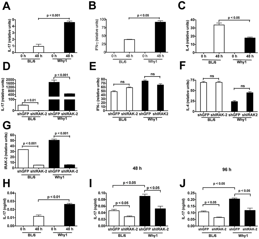 IRAK-2 is necessary for CD4 T cell-specific IL-17 production.