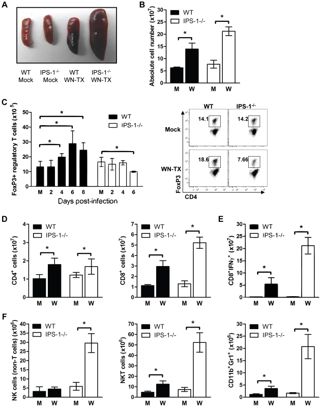 Enhanced inflammation in IPS-1<sup>−/−</sup> infected mice associates with a lack of T<sub>reg</sub> expansion during WNV infection.