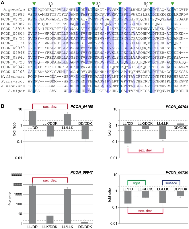 The CBM_14 domain protein family is expanded in <i>P. confluens</i>.