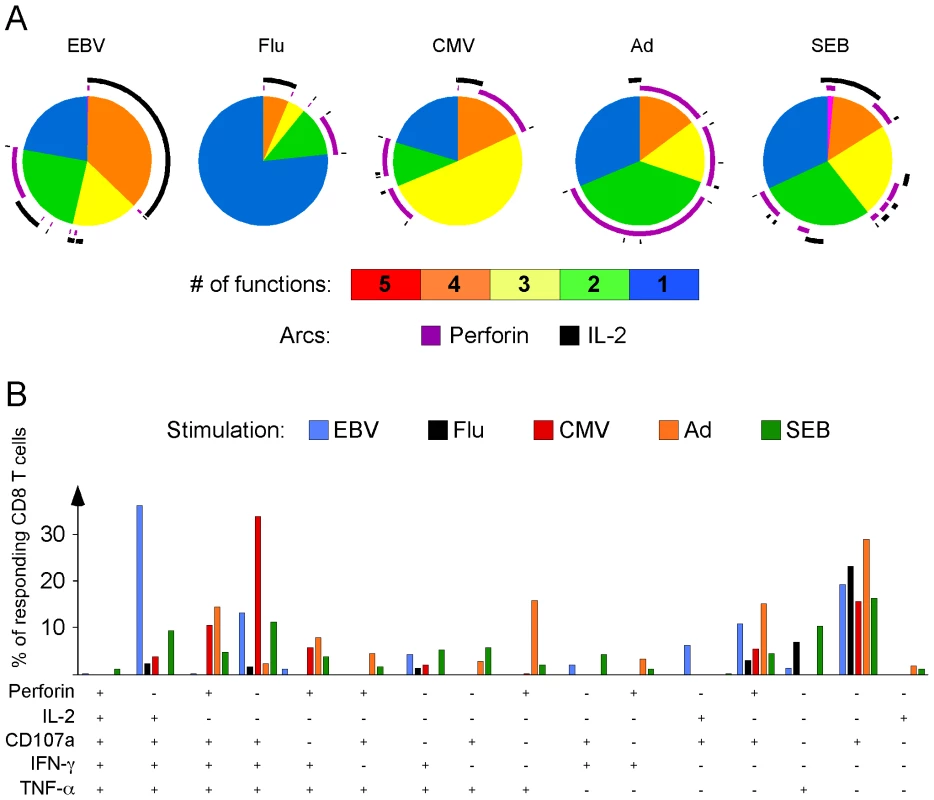 Rapid perforin upregulation and IL-2 production define distinct functional subsets for each model virus.