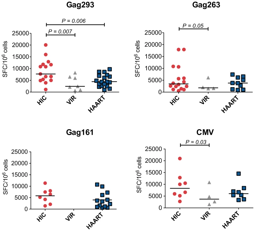 Increased IFN-γ production by CD4+ T cell lines from HIV controllers.