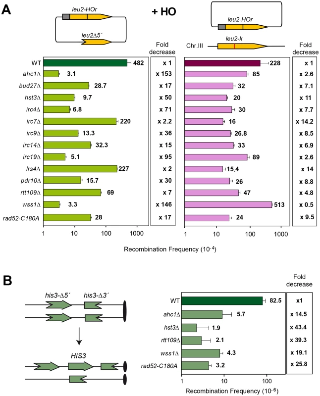 Genetic analysis of recombination in the 13 SCR–defective mutants.