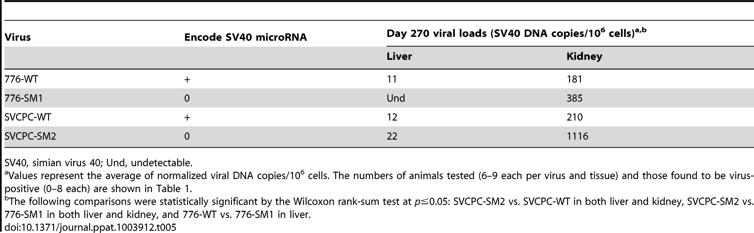 Persistent infections at day 270 in hamster liver and kidney by SV40 wild-type strains and microRNA mutants.