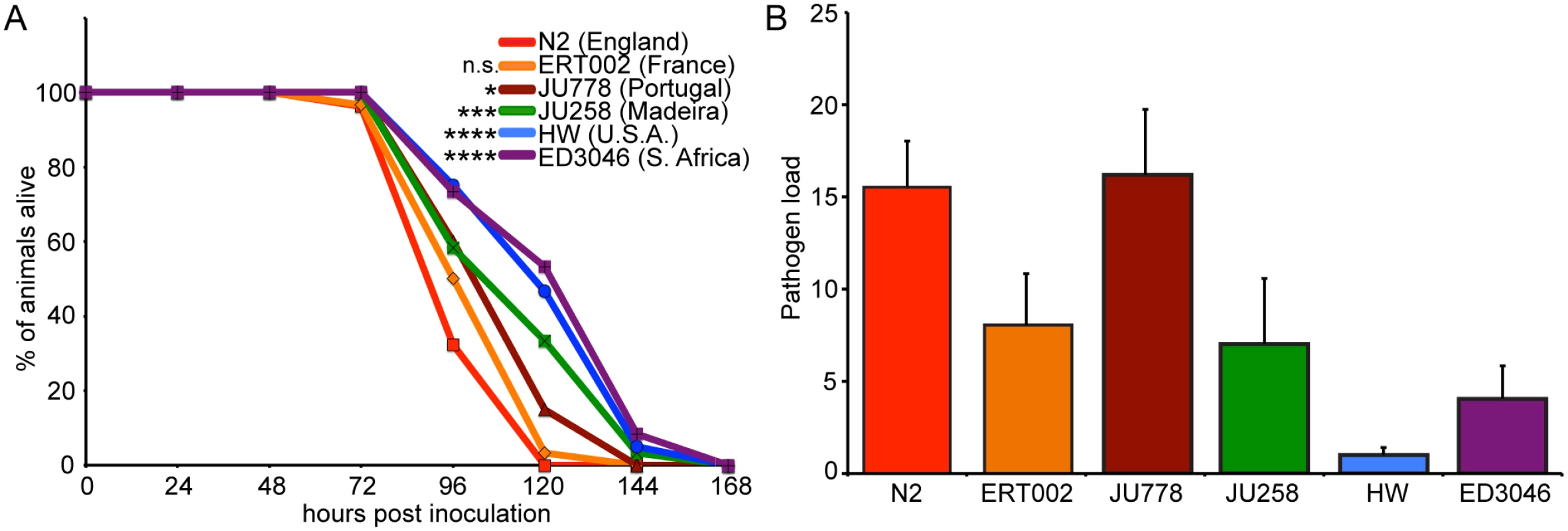 Natural variation in <i>C. elegans</i> response to <i>N. parisii</i> infection.