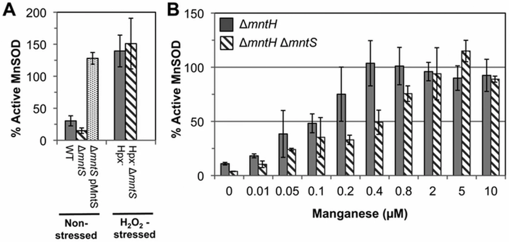 MntS facilitates the activation of manganese-dependent superoxide dismutase.