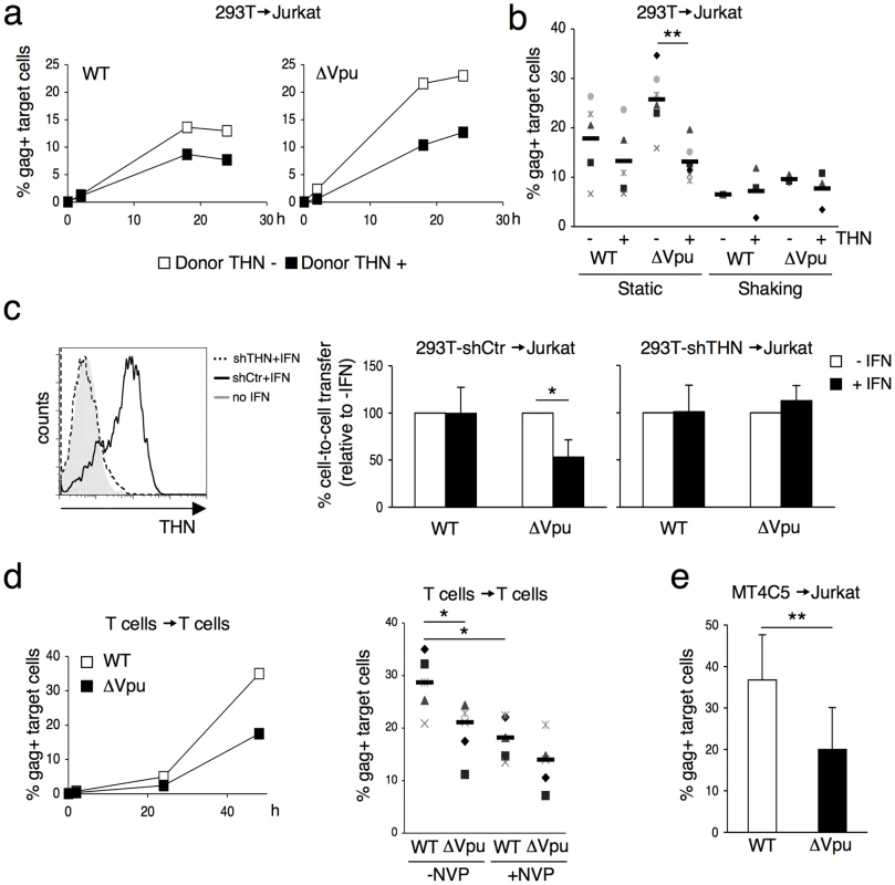 Tetherin reduces HIV cell-to-cell transmission from 293T and primary T cells.