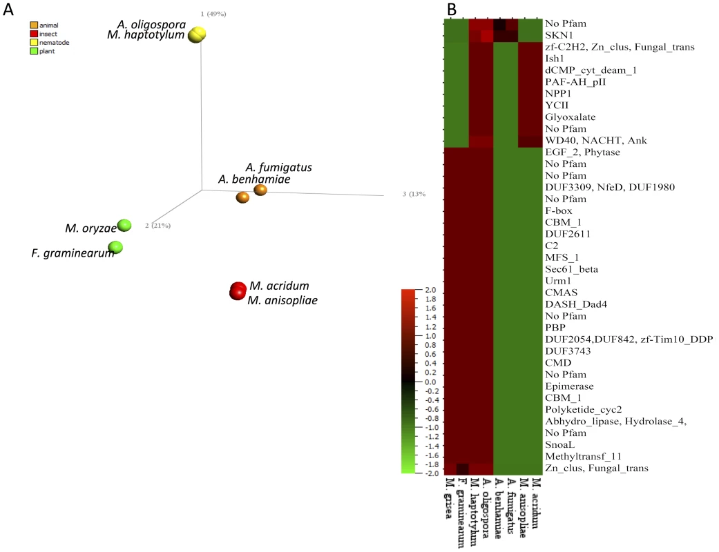 Comparison of gene families in filamentous ascomycetes.
