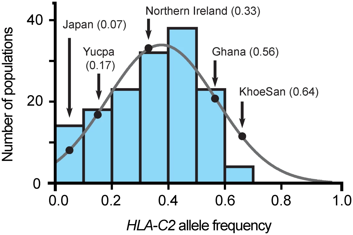 The C2 frequency in the KhoeSan is unusually high.