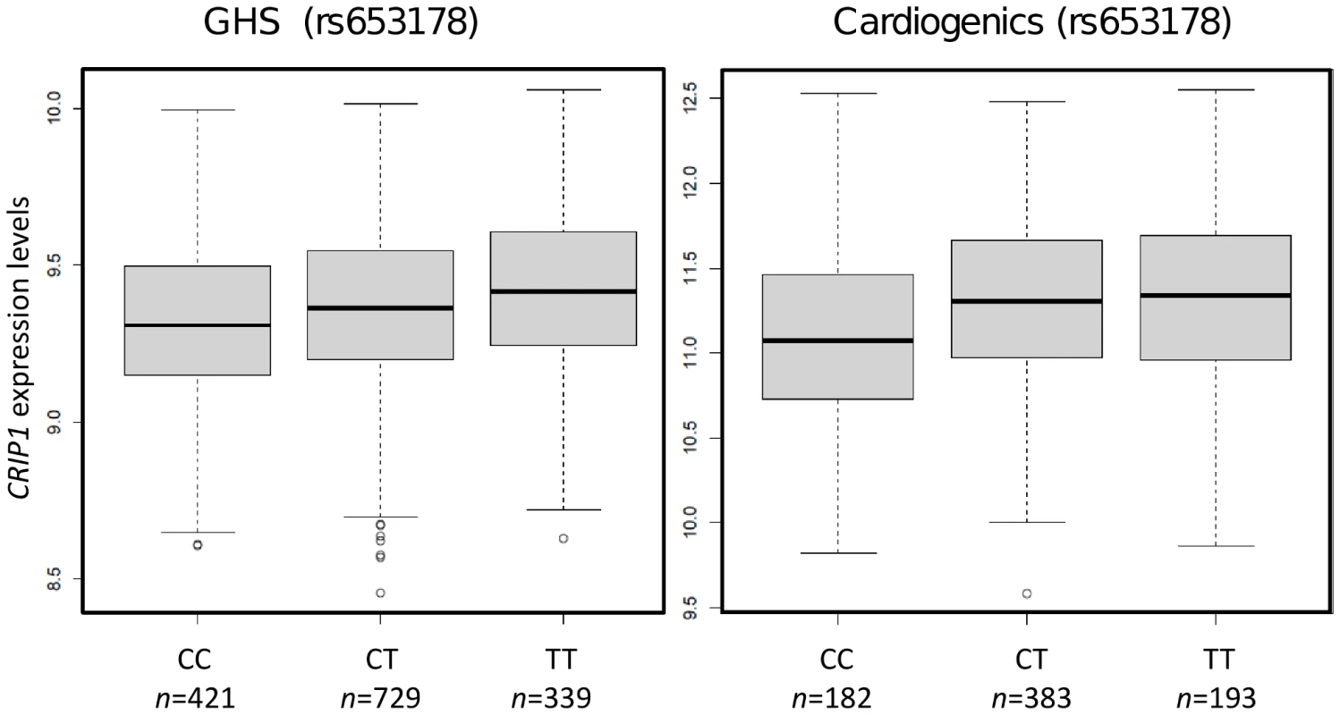 Box plots showing the association of rs653178 at locus 12q24 (&lt;i&gt;SH2B3&lt;/i&gt;) with &lt;i&gt;CRIP1&lt;/i&gt; expression in GHS and Cardiogenics.