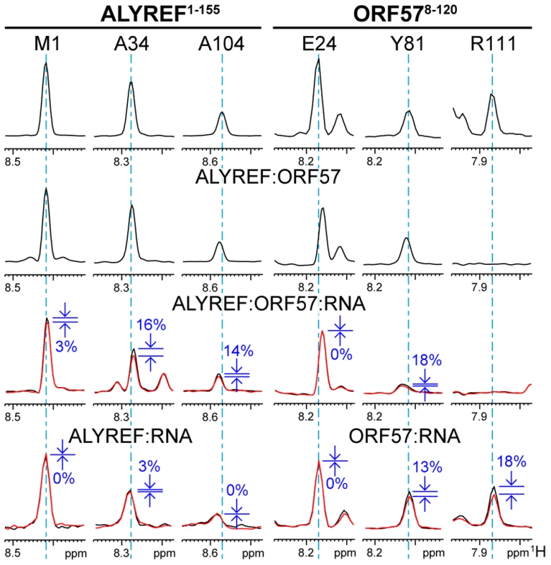 Typical effects of complex formation and RNA→protein ST on selected signals of ALYREF<sup>1–155</sup> and ORF57<sup>8–120</sup>.