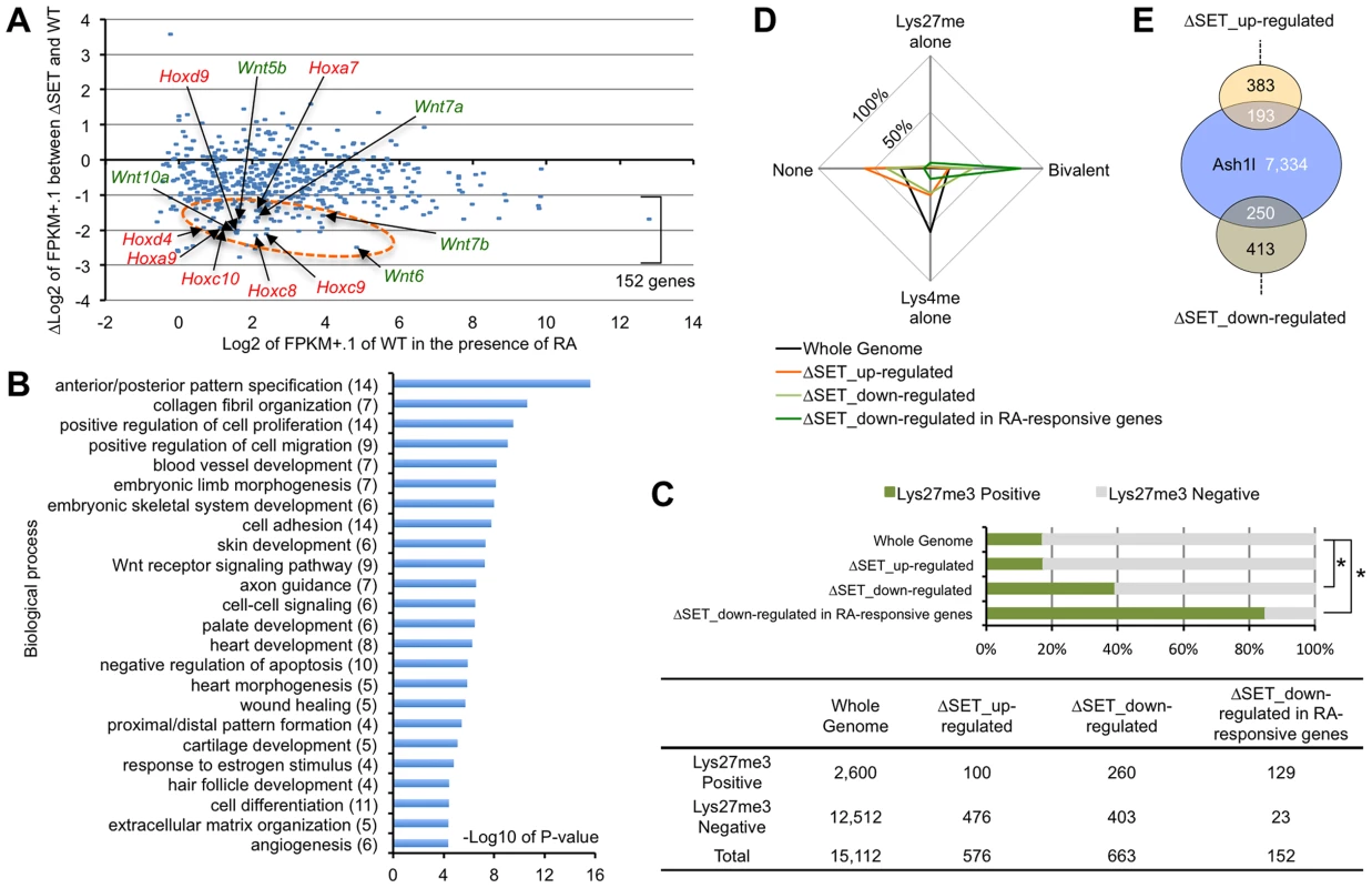 Comprehensive gene expression analyses of differentiating ES cells.