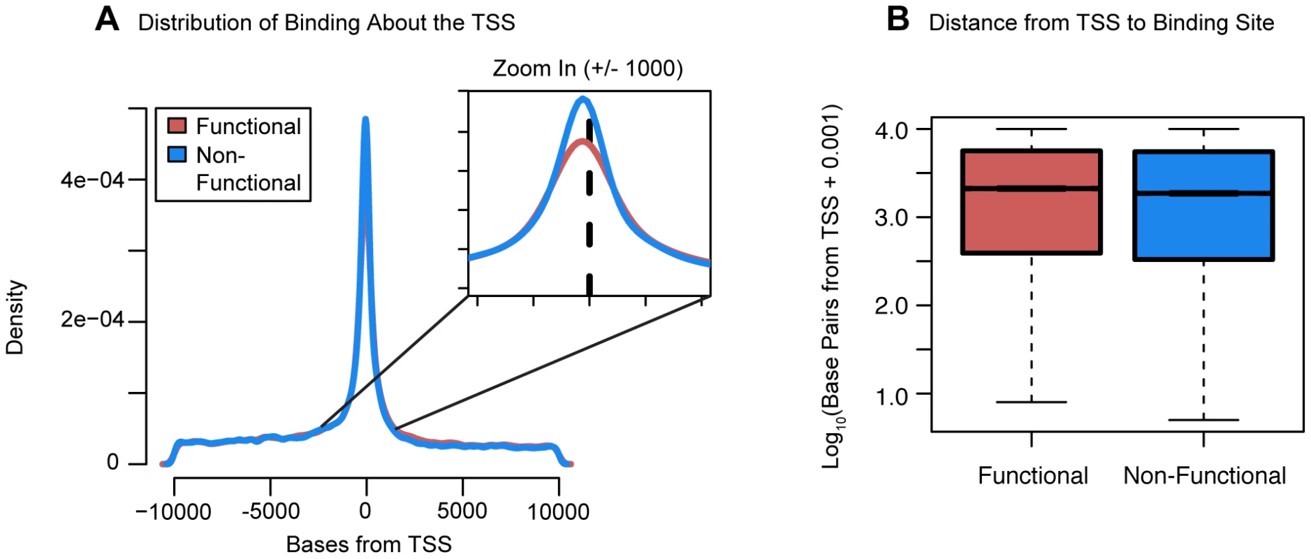 Distribution of functional binding about the TSS.