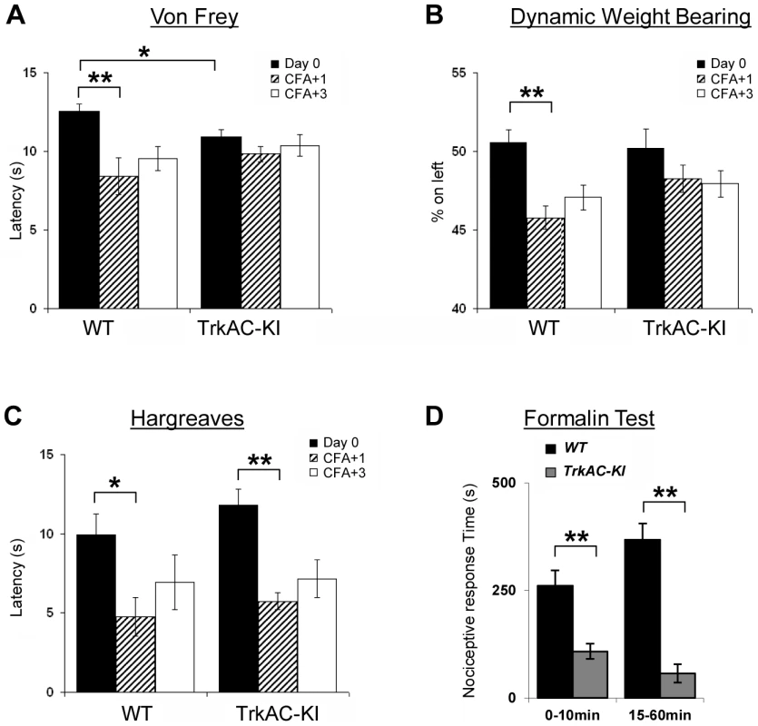 Abnormal mechanical and chemical pain response in <i>TrkAC-KI</i> mice.