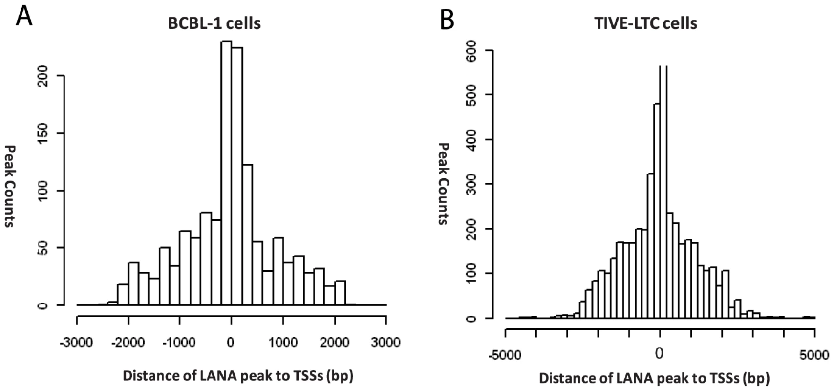 Positions of LANA peaks to the transcription start sites of known genes in BCBL-1 and TIVE-LTC cells.