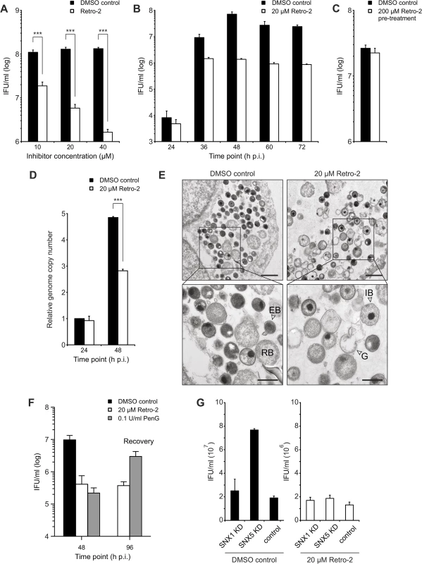 Retro-2 reduces infectious progeny formation of <i>C</i>. <i>trachomatis</i>.