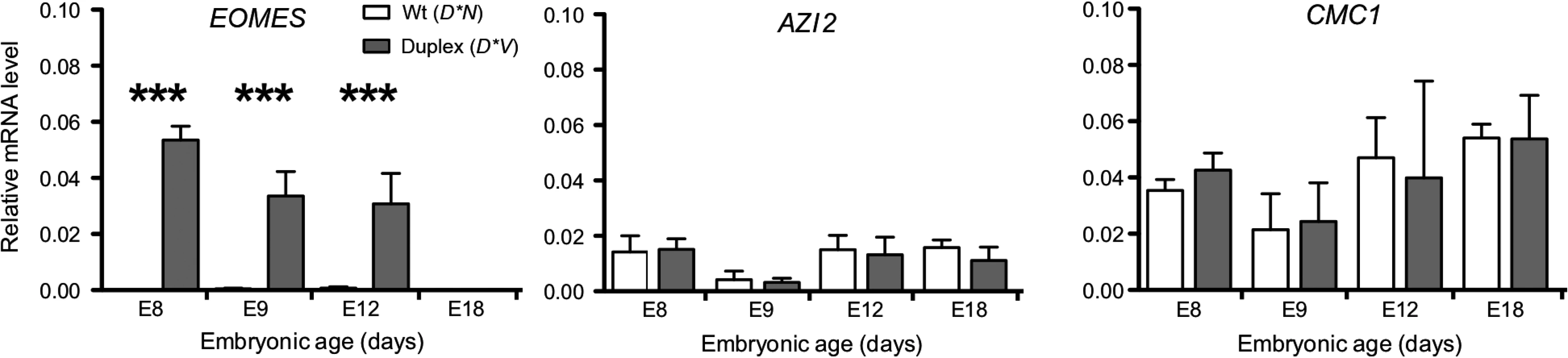 <i>EOMES</i> expression is increased in D*V embryonic comb tissue.