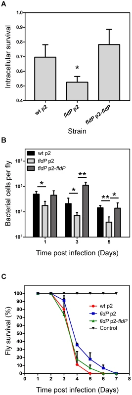 FldP enhances <i>P. aeruginosa</i> survival within mammalian macrophages and during <i>in vivo</i> infection of <i>Drosophila melanogaster</i>.