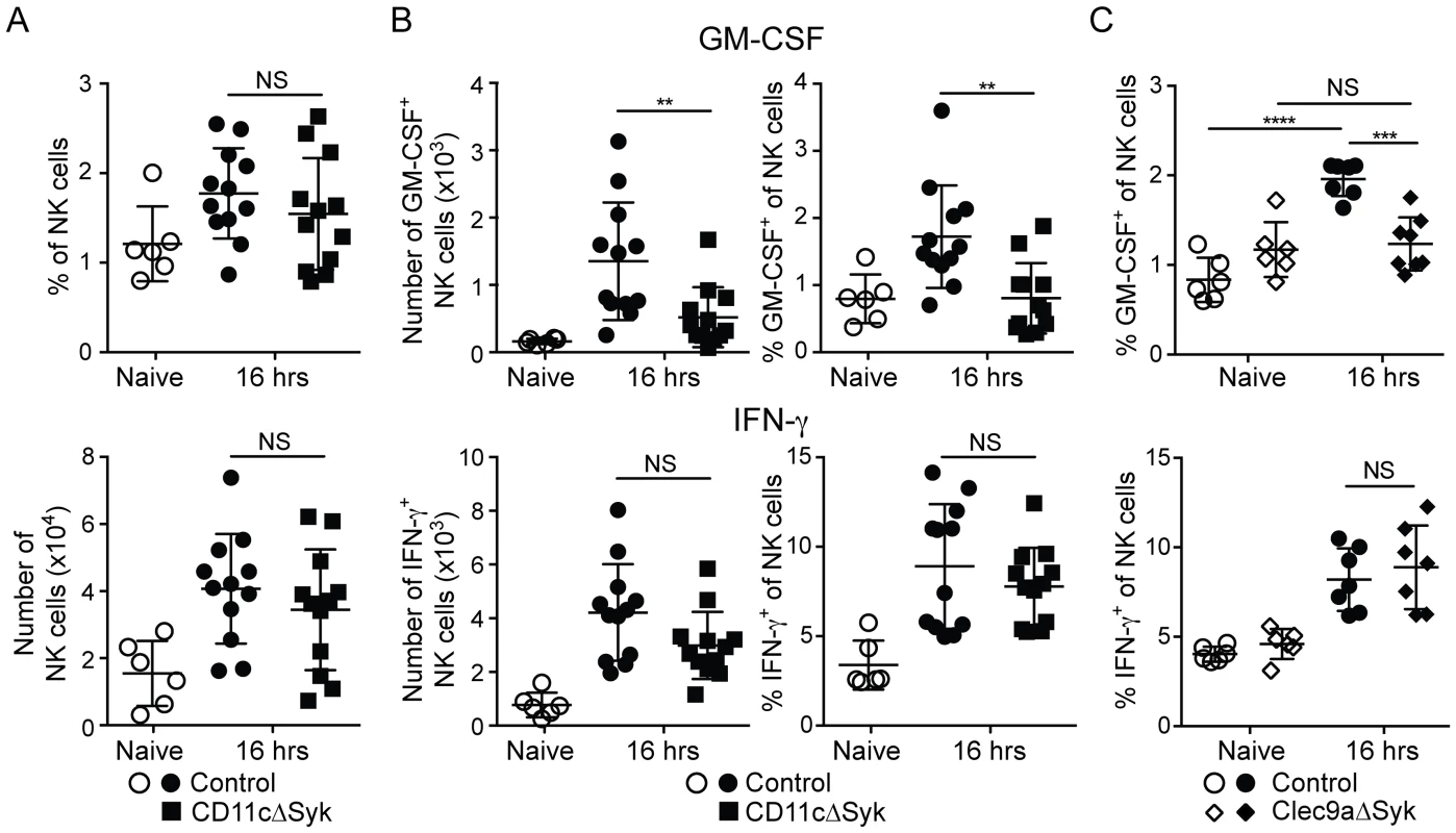 GM-CSF-producing NK cells are selectively reduced in infected CD11cΔSyk and Clec9aΔSyk mice.