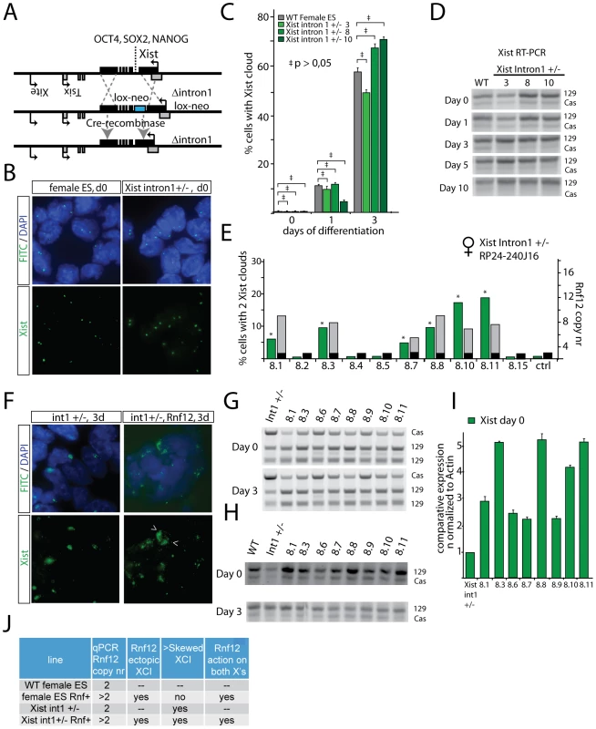 RNF12 initiates XCI independent of pluripotency factor binding to <i>Xist</i> intron 1.
