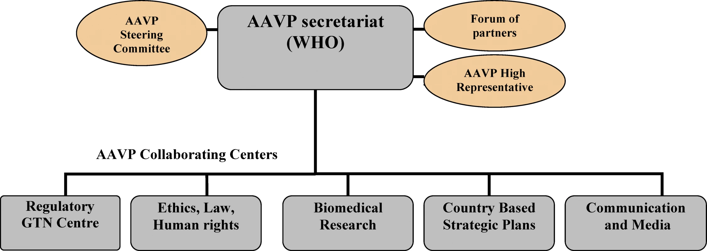 The AAVP Structure