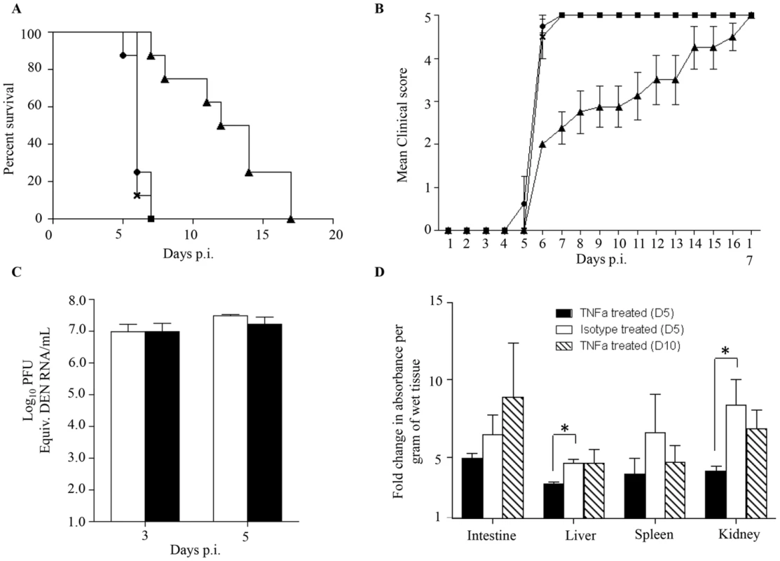 TNF-α neutralization in DENV2-infected mice born to DENV1 immune or naïve mothers.
