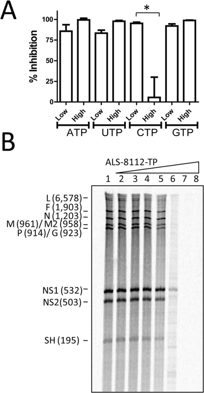 Competitive inhibition of RSV RNP complex by ALS-8112-TP.