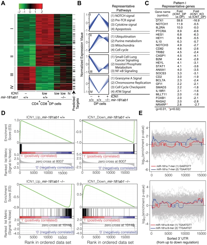 Loss of <i>mir-181ab1</i> in DP leukemia cells inhibits ICN1-controlled genetic programs.