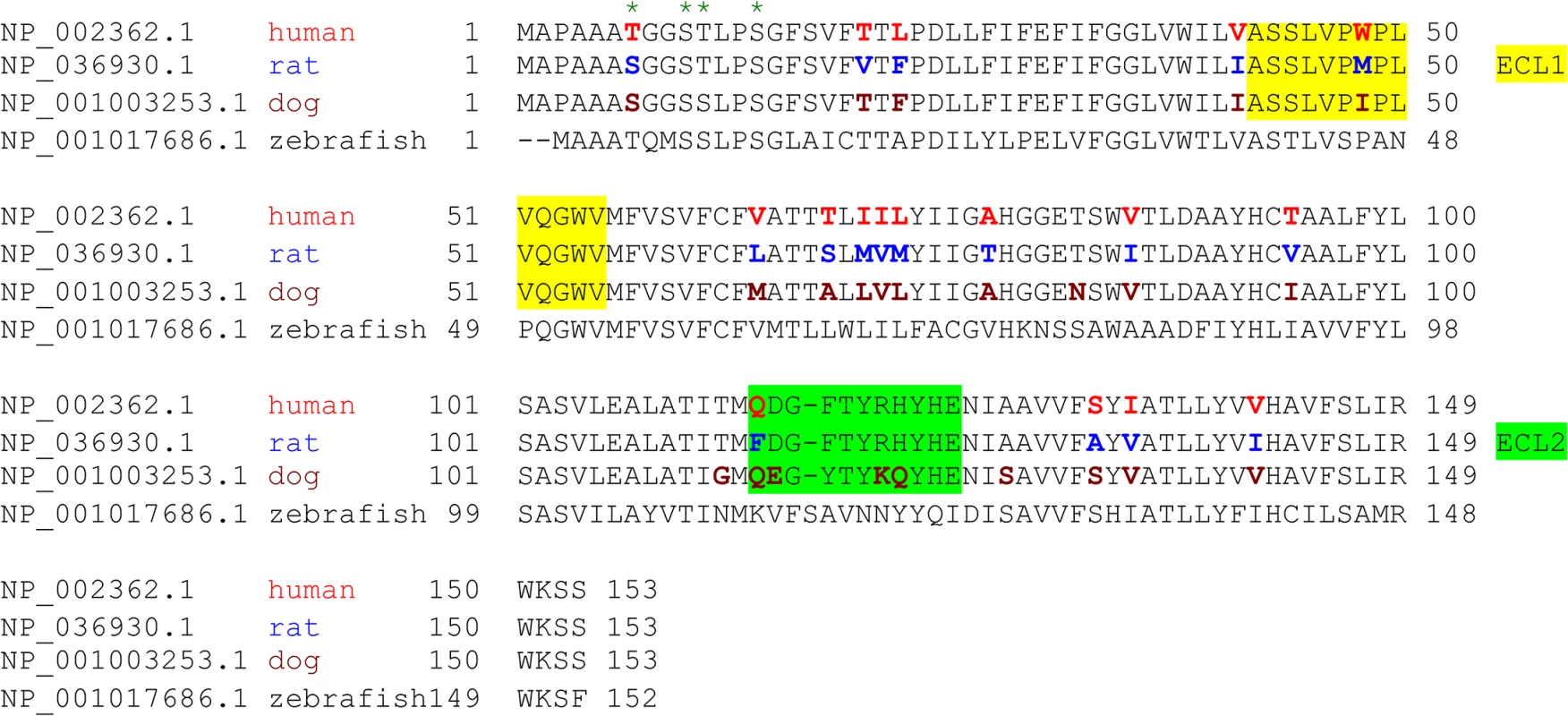 Species variation in the amino acid sequence of MAL.