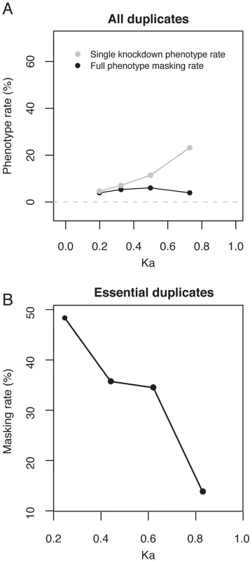 The increase in single-gene knockdown phenotype rate with Ka<sub>pair</sub> is due to a retention bias for essential duplicates over duplicate age.